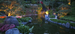 Aufnahme des illuminierten Japanischen Gartens in der Dämmerung. Man sieht einen Teich, verschiedene Pflanzenarten und im Hintergrund den Wasserfall 