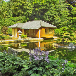 Teahouse at the Japanese Garden