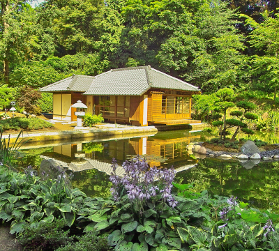 Teehaus am großen Teich im Japanischen Garten. EIne kleine Insel mit einem Bäumchen ist mitten im See angelegt.
