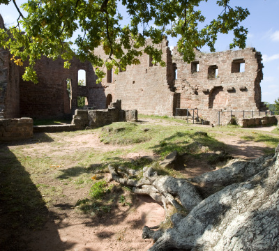 Hohenecken Castle 
