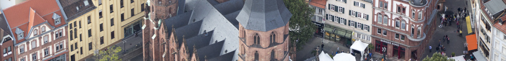 Luftaufnahme der Stiftskirche