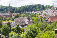 Der Ortsbezirk Dansenberg im Sommer - die Bäume sind voll und grün und geben nur hier und da Sicht auf die Häuser. Im Hintergrund ist die Evangelische Kirche Erlenbach zu sehen, die als einziges Gebäude hoch aufragt.