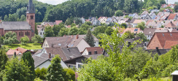 Der Ortsbezirk Dansenberg im Sommer - die Bäume sind voll und grün und geben nur hier und da Sicht auf die Häuser. Im Hintergrund ist die Evangelische Kirche Erlenbach zu sehen, die als einziges Gebäude hoch aufragt.