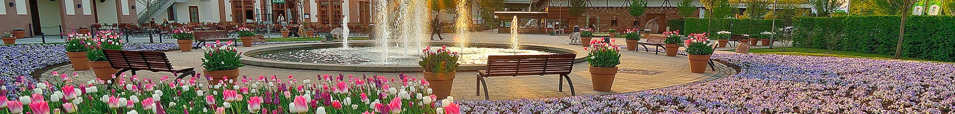 Frühlingsblumen in der Abendsonne um den Brunnen am Eingang zur Gartenschau