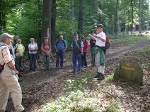 RHEINPFALZ Sommertour durch den Pfälzerwald