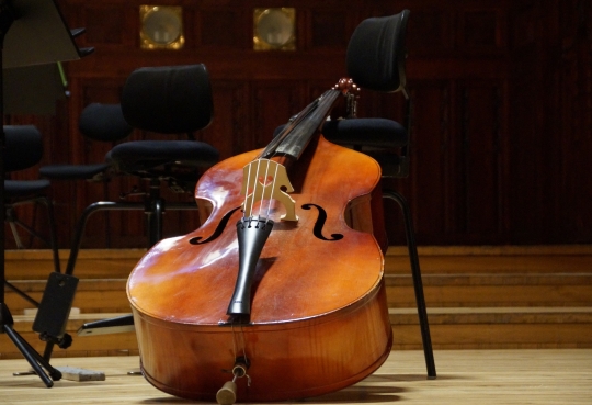 Showtime Konzert Cello und Kontrabass