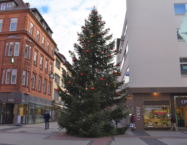 Auf dem Bild ist der Weihnachtsbaum in der Fackelstraße zu sehen. © Stadt Kaiserslautern