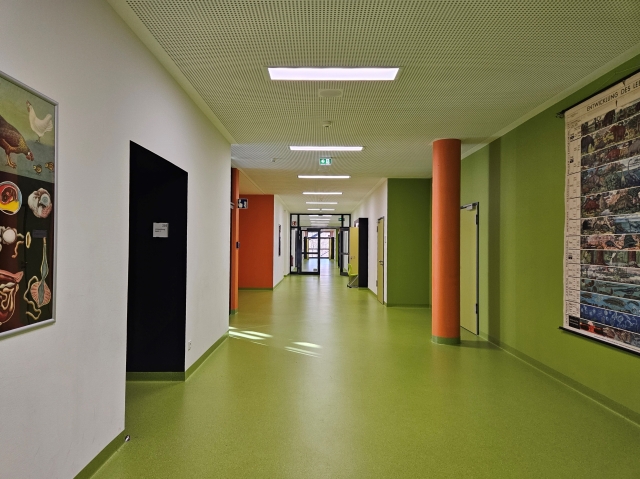 Sowohl die Flure als auch die Klassenräume werden hell mit Licht durchflutet. © Stadt Kaiserslautern