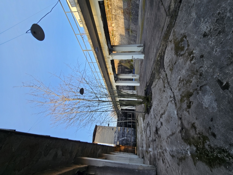 Der Kohlenbunker, fotografiert vom Boden aus. Eine der beiden Gleisbrücken durchläuft das Bild diagonal. Davor ein Bäumchen, das den Beton durchbrochen hat. Blauer Himmel. © Stadt Kaiserslautern