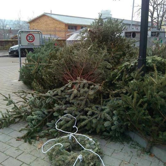 Illegale Ablagerung von Weihnachtsbäumen