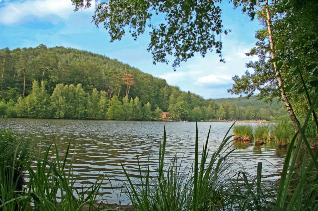 Ein Blick auf den Gelterswoog  © Stadt Kaiserslautern