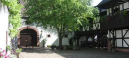 Der grüne Innenhof des Theodor-Zink-Museums. Der Kastanienbaum ist mittlerweile sehr ausladend und spendet Schatten.