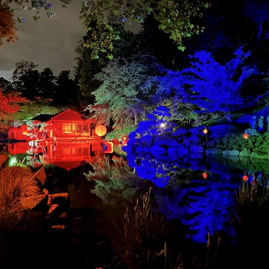 Der Japanische Garten illuminiert