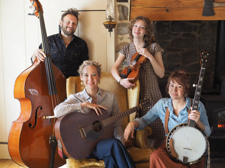 The Shooflies © The Shooflies
