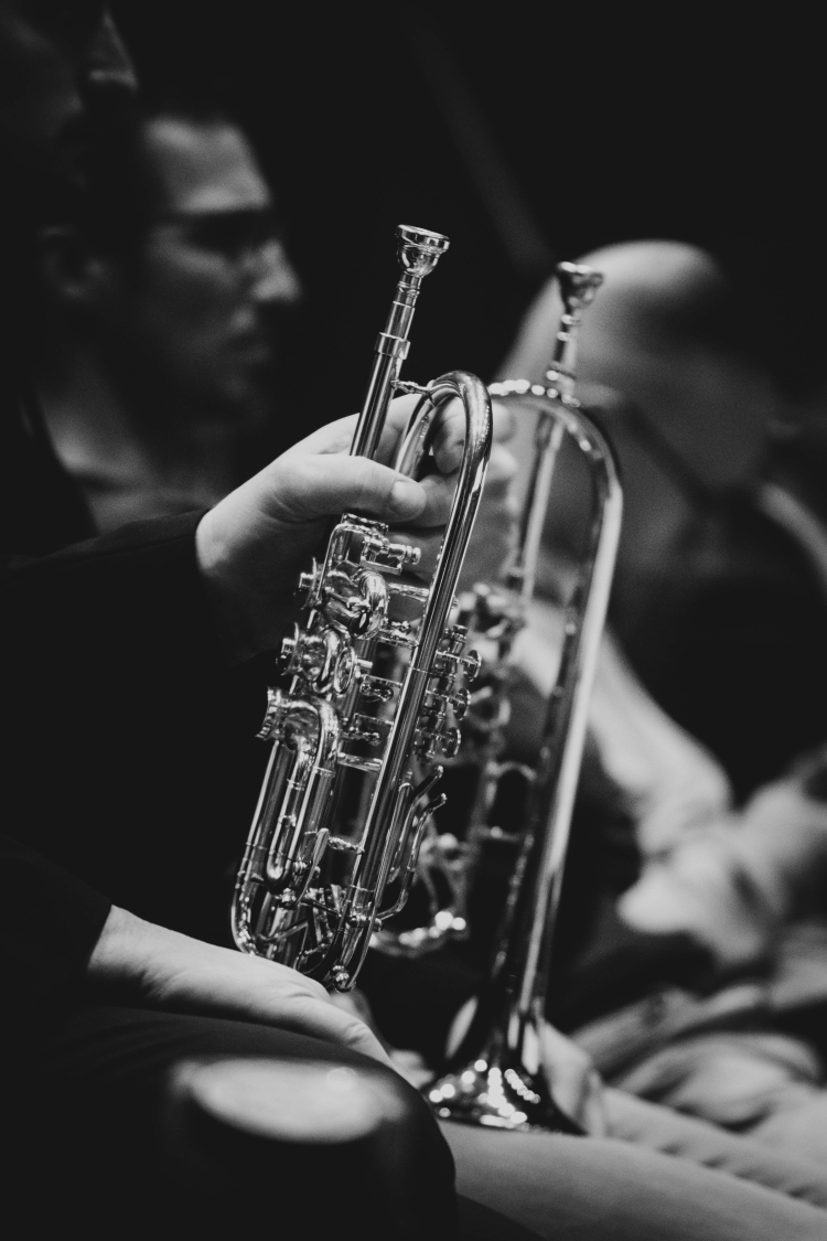 Trompete © Lena Semmelroggen