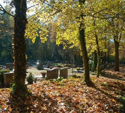Friedhof Erzhütten