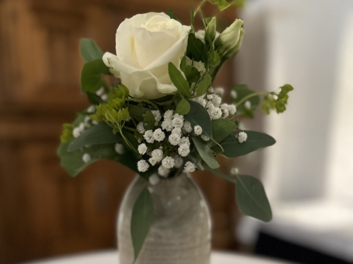 Vase mit weißer Rose