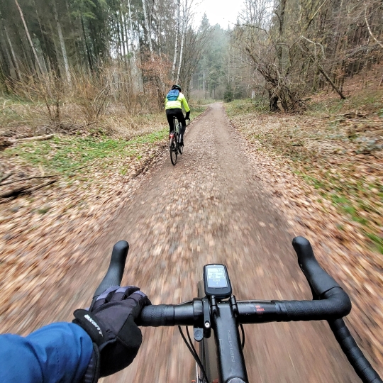 Zwei Mountainbikefahrer, die durch den Pfälzerwald fahren.