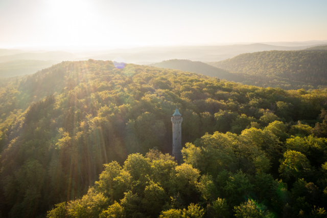 Blick aus der Luft auf den Humbergturm und den darumliegenden Pfälzerwald. © Pfalz.Touristik e.V., Bild: Dominik Ketz