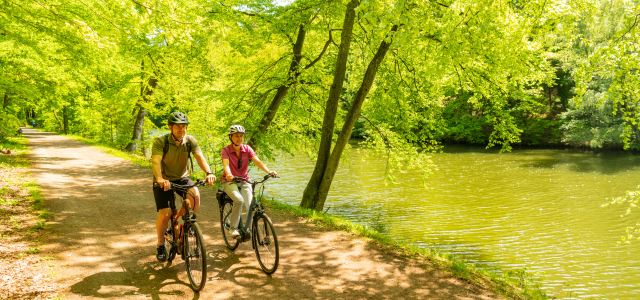 Two cyclists ride on a forest path along the water in summer.