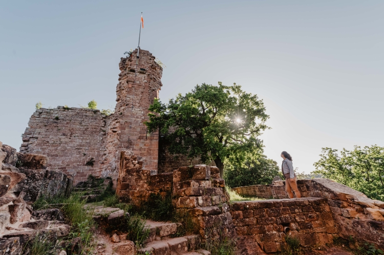 Thomas Linkel, Lizenz CC-BY Burg Hohenecken Thomas Linkel, Lizenz CC-BY