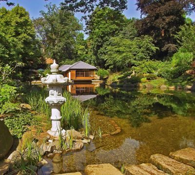 Im Vordergrund der Koi Teich des Japanischen Gartens und im Hintergrund das original japanische Teehaus