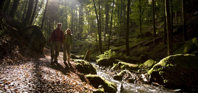 Blick in die Karlstalschlucht. Links sieht man zwei Wanderer, in der Mitte einen Bach. Die Schlucht ist gesäumt von Bäumen.