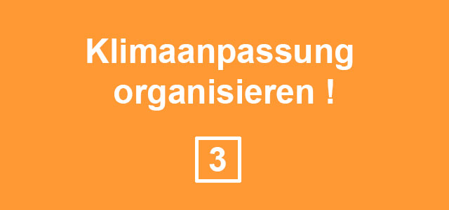 Button mit weißem Text auf orangenem Grund: Klimaanpassung organisieren !