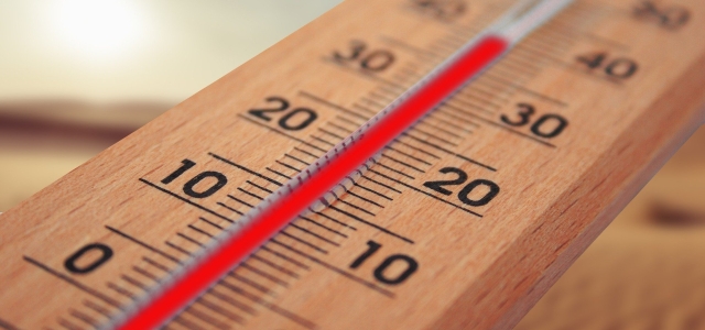 Thermometer vor Holzhintergrund, das hohe Temperaturen bis 40 Grad anzeigt.