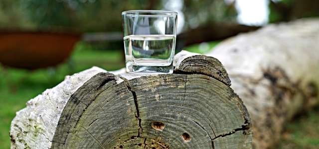 Glas Wasser auf gefälltem Baumstamm